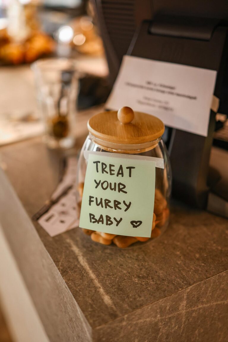 A glass jar with treats for pets on a countertop, labeled with a note.