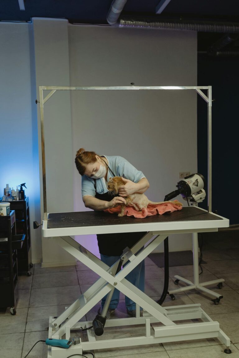 A pet groomer attending to a small dog on a grooming table in a salon setting.